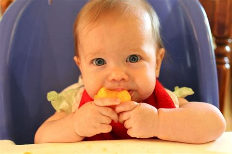 8 aylık bebeğe neler yedirebilirim